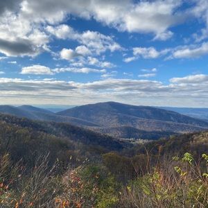 Meet your Posher, Gina